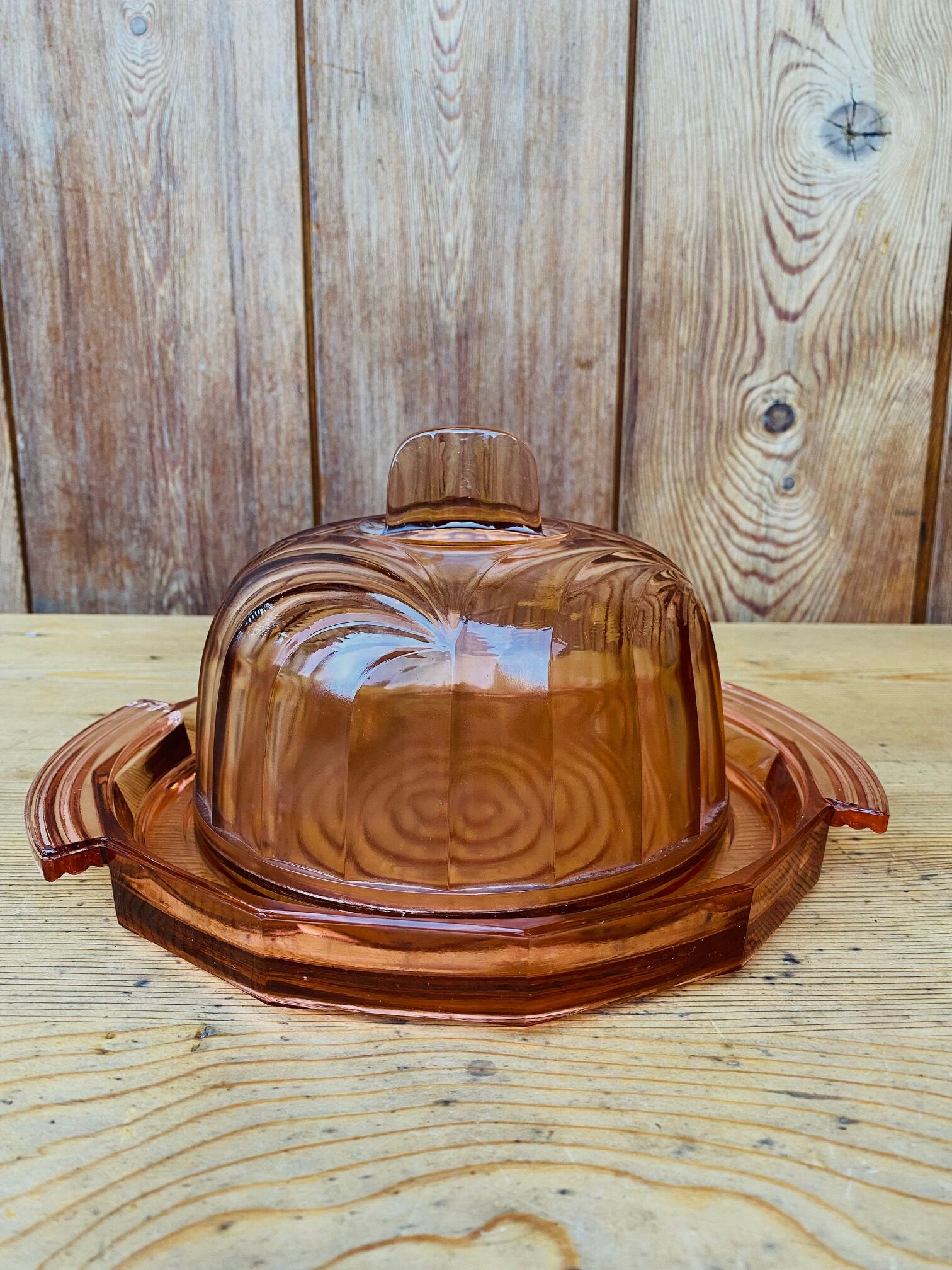 Rosaline art deco glass bell jar and its tray