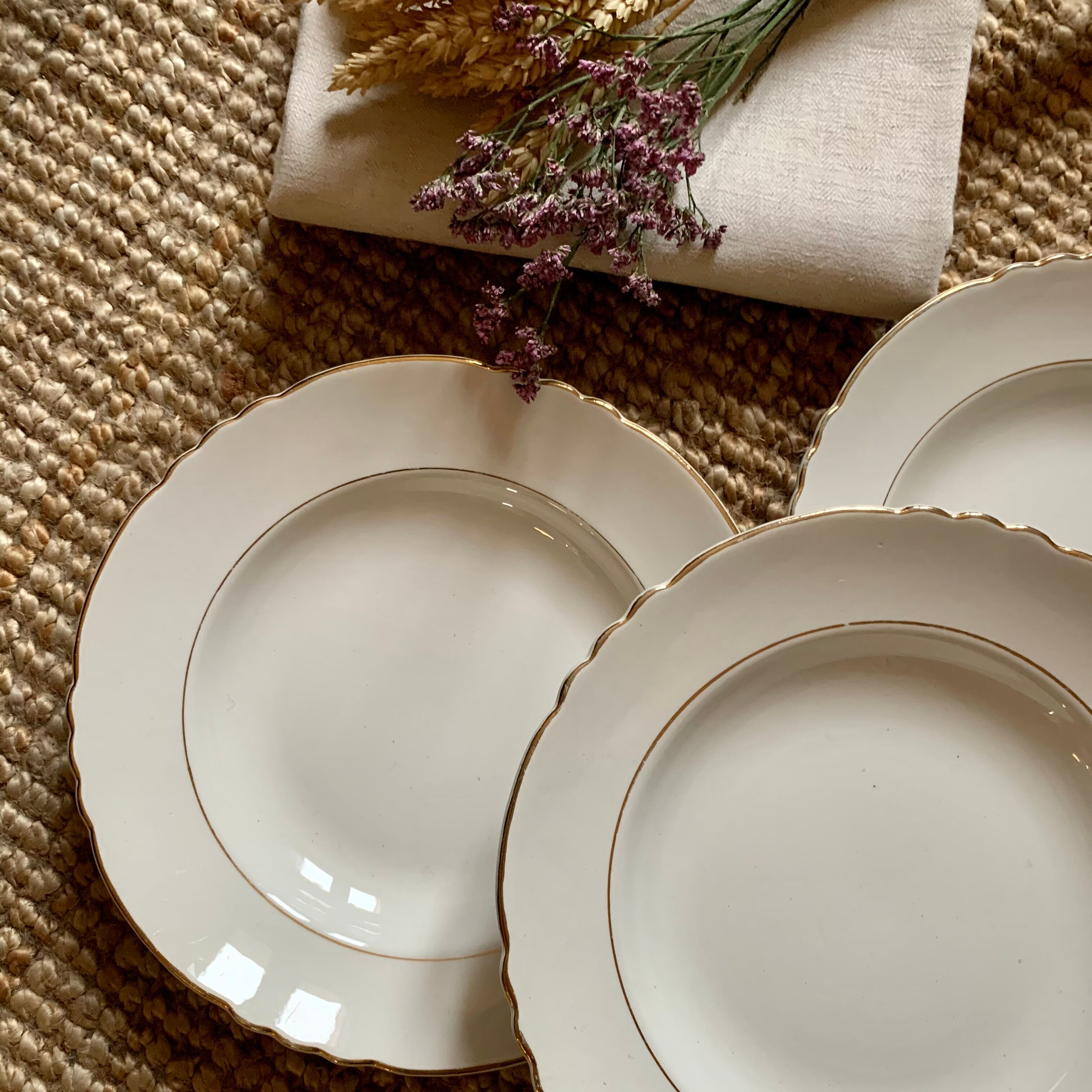 Lot of 10 hollow plates Mill of The Wolves semi-porcelain