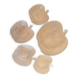 Fruit set