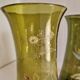 Pair of Enameled Glass Vases with Dragonflies. Unsigned Legras