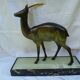 Regule Impala by Rochard