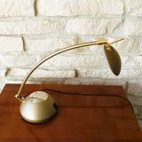 Tilting desk lamp