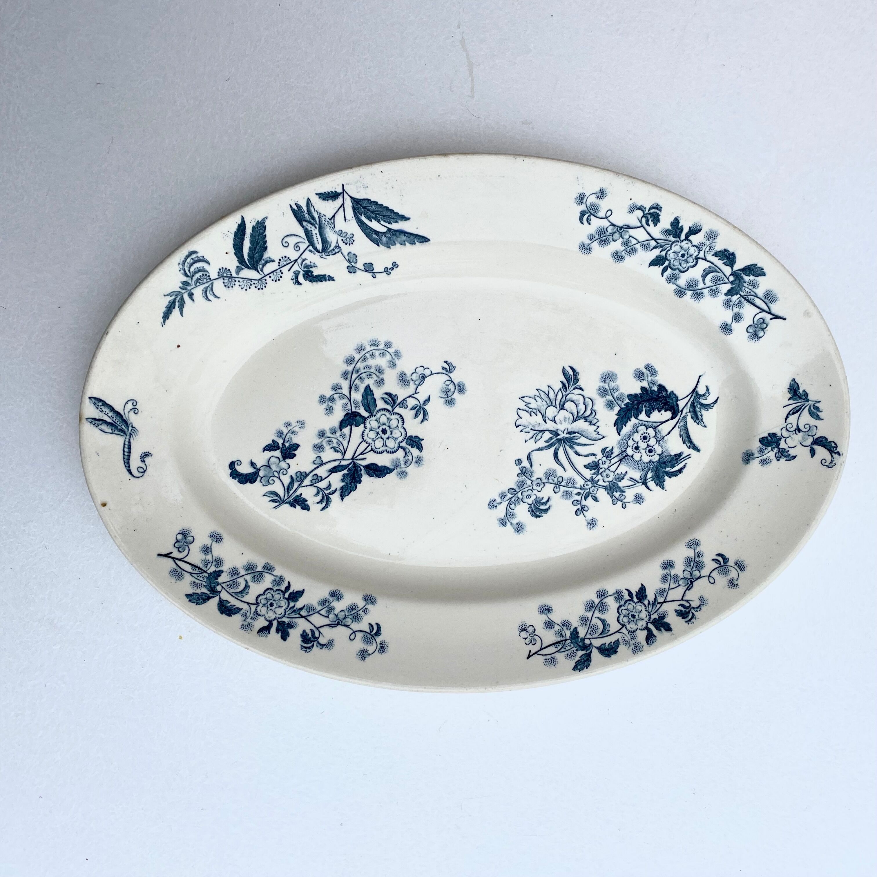 Plat ovale Longwy Ycho