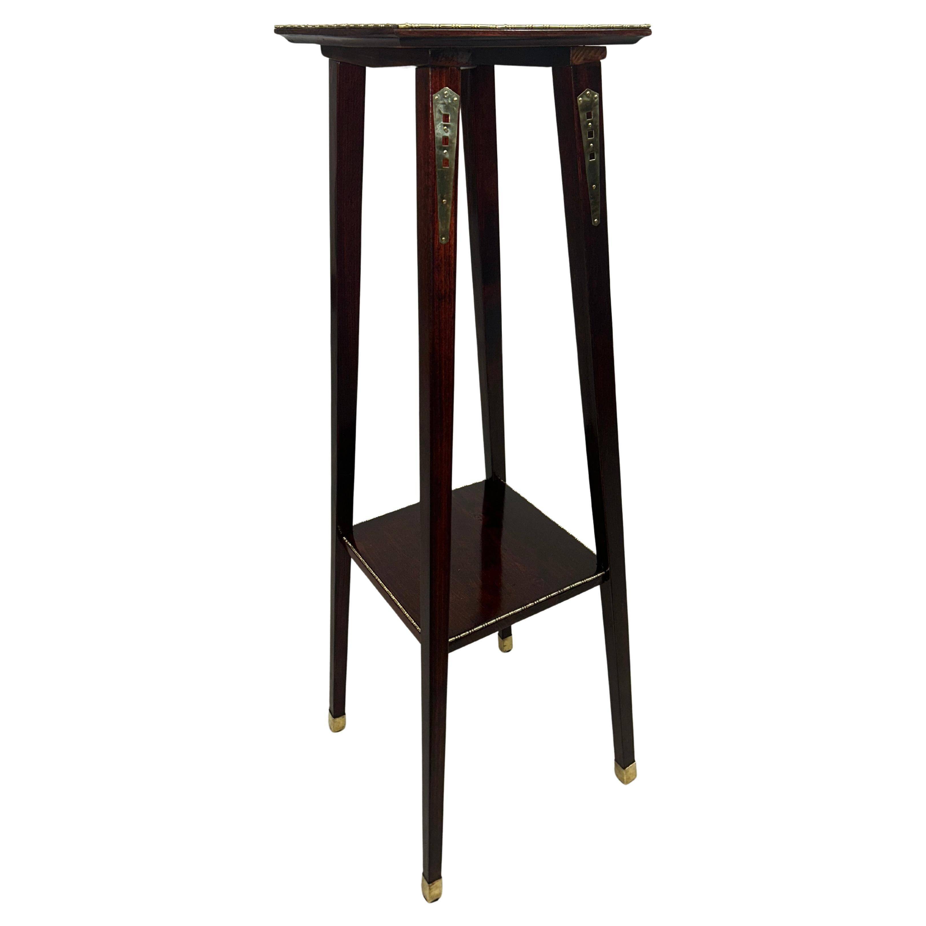 Vienna Secession plant support