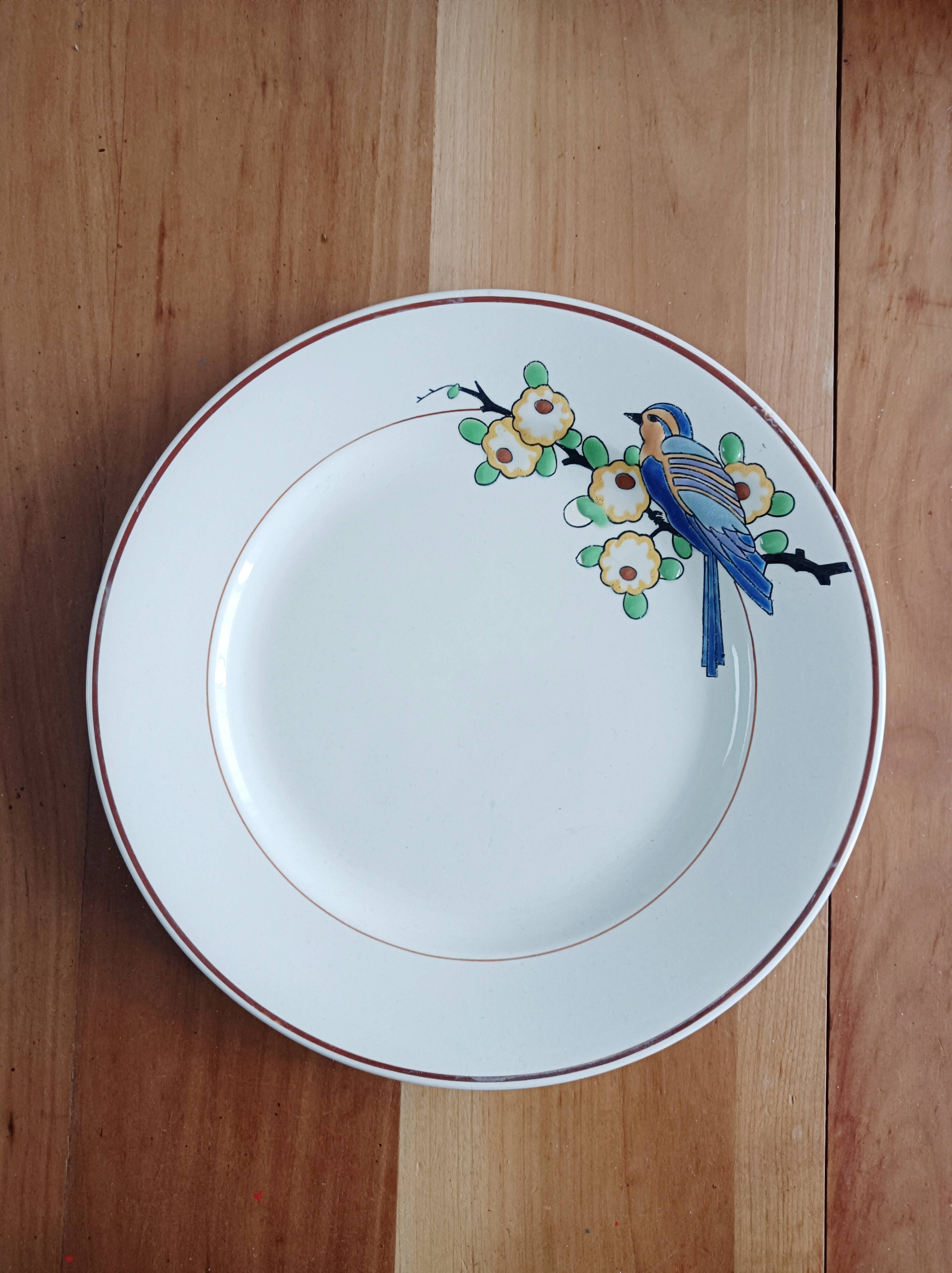 Longwy flat plate, Bird