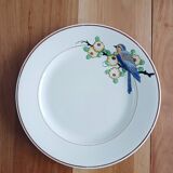 Longwy flat plate, Bird
