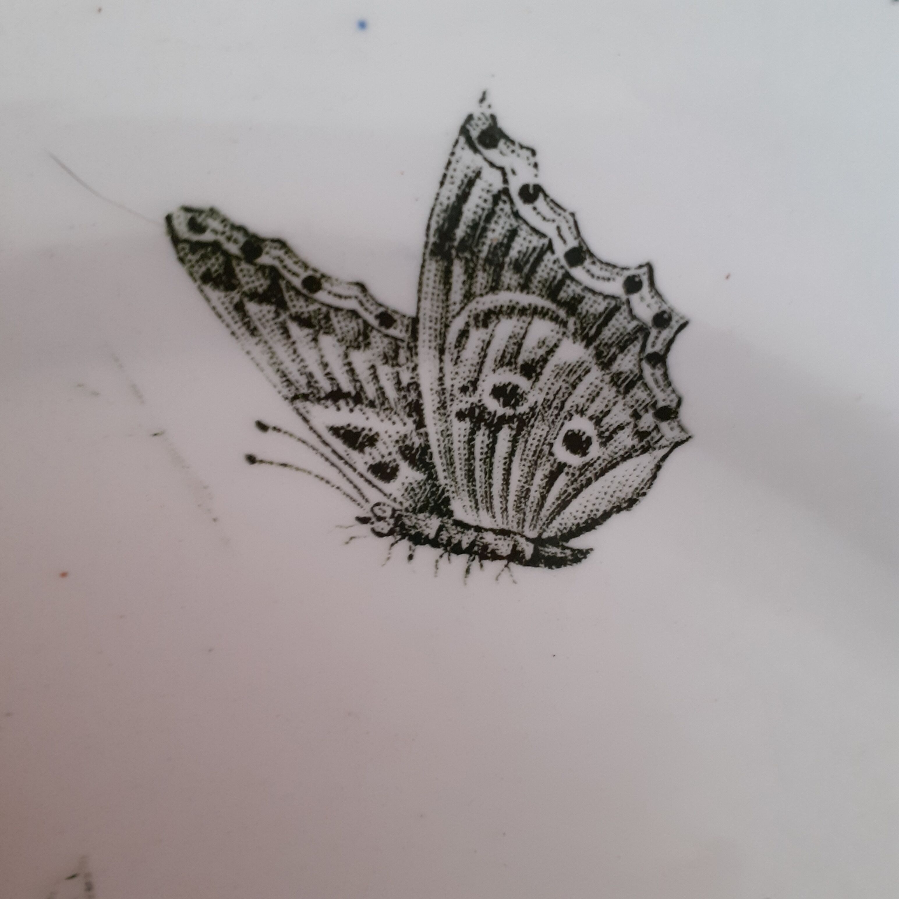 Lot of 6 plates faïence Terre de feu LG Nancy