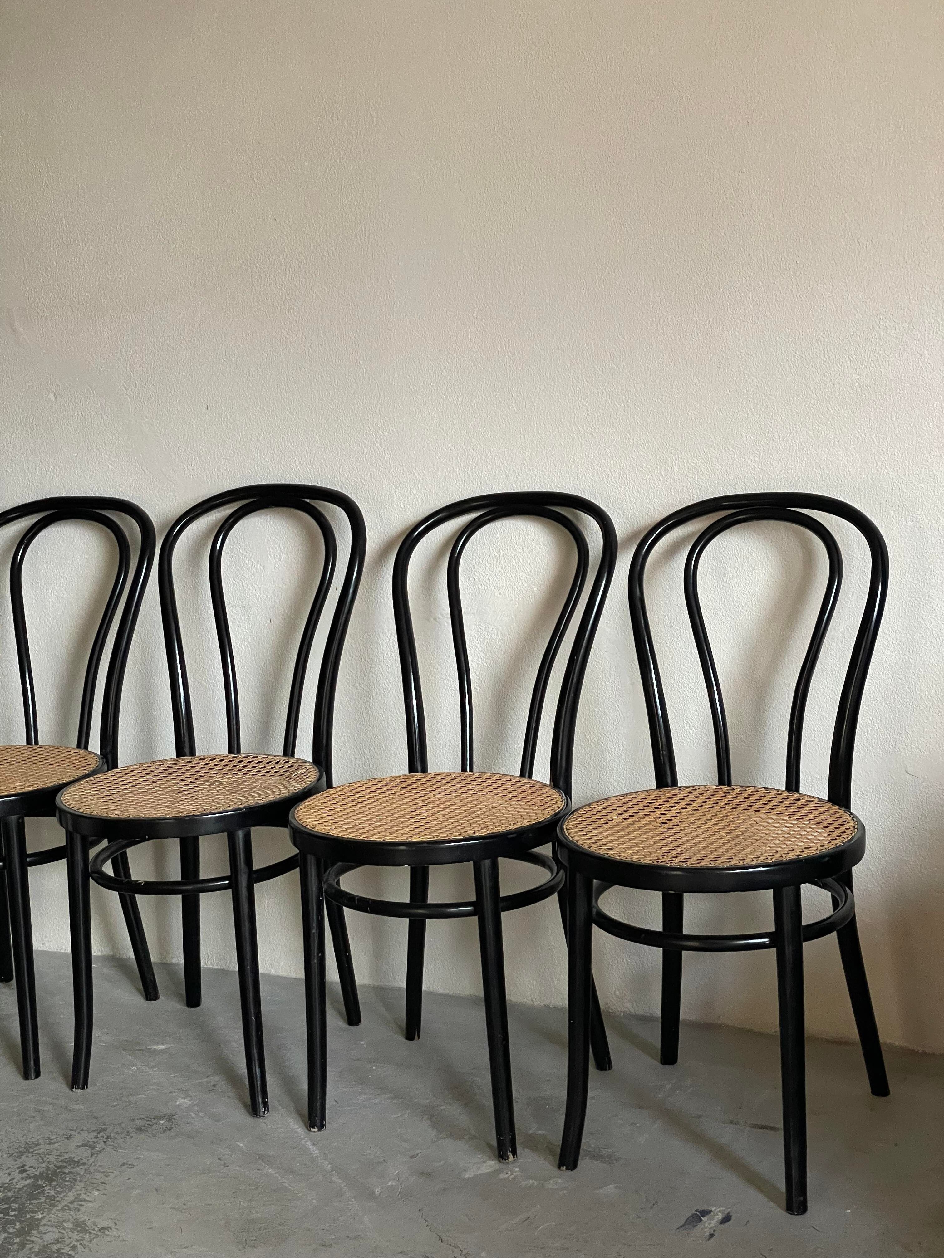 Thonet chairs n°18