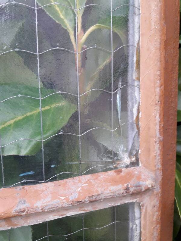 Window L107xH174 industrial curved metal glass roof frame reinforced glass