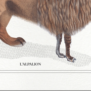 Set of 3 chimeras lithography animal engraving