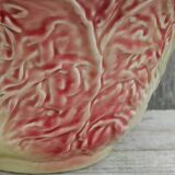 Pink cabbage slip salad bowl