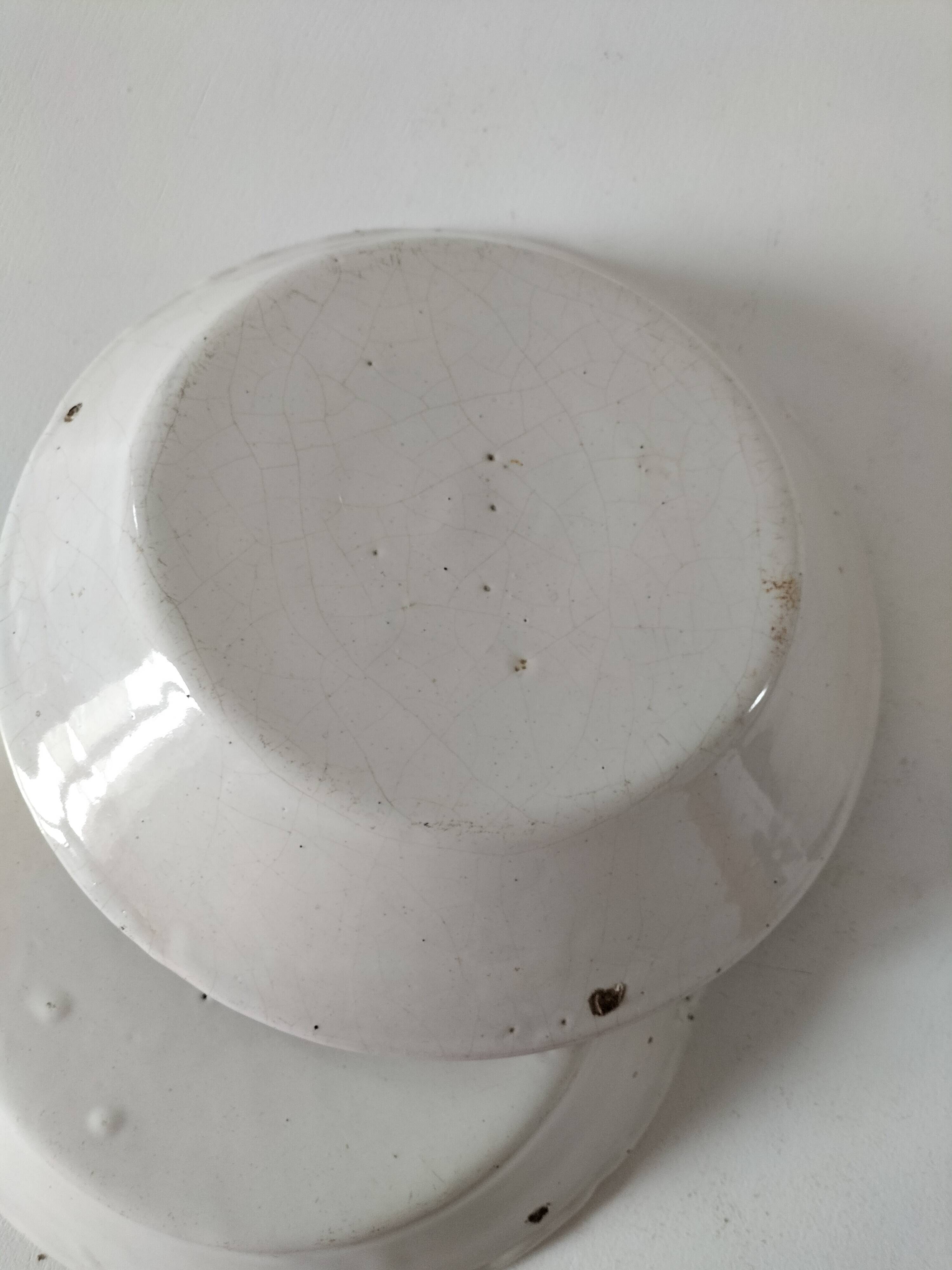 Pair of antique soup plates with hand-painted grape decoration