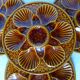 4 vintage oyster plates from Longchamp porcelain 210790