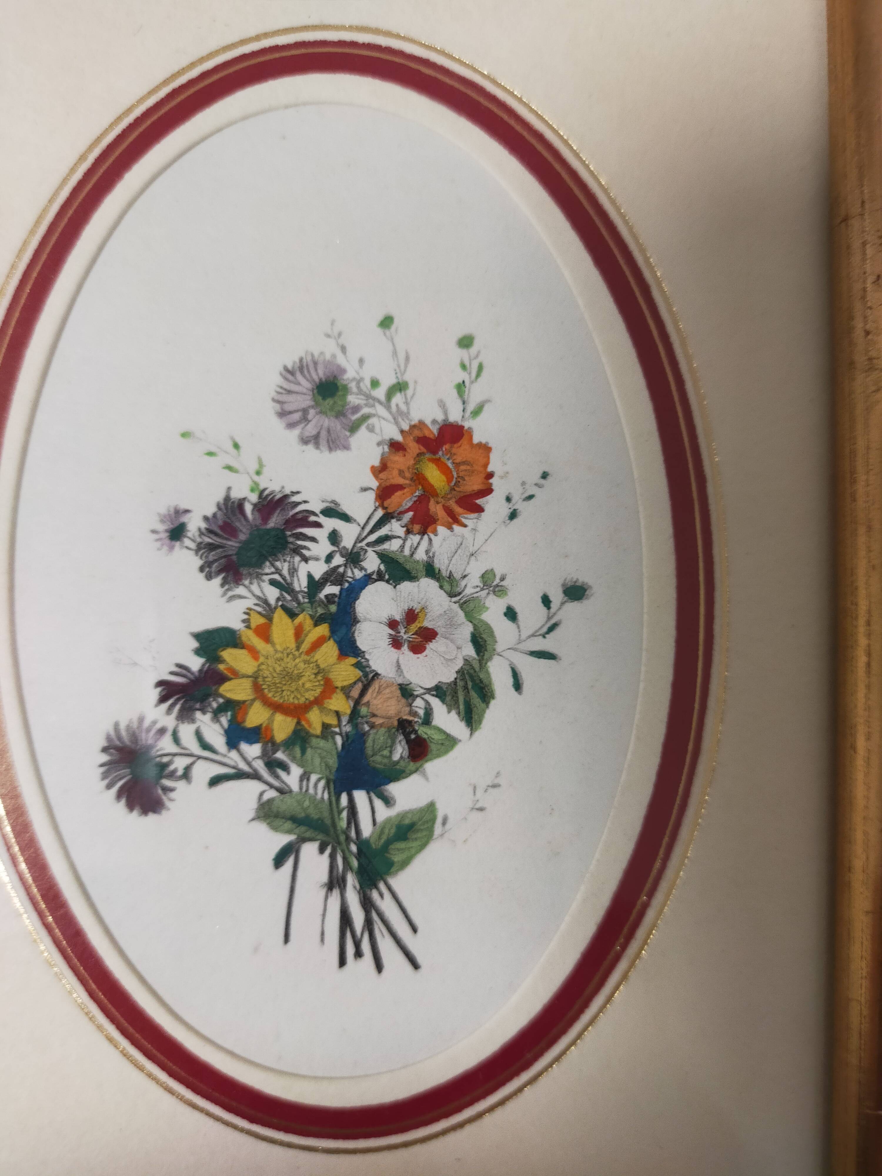 Framed antique botanical engraving with gilded wall frame