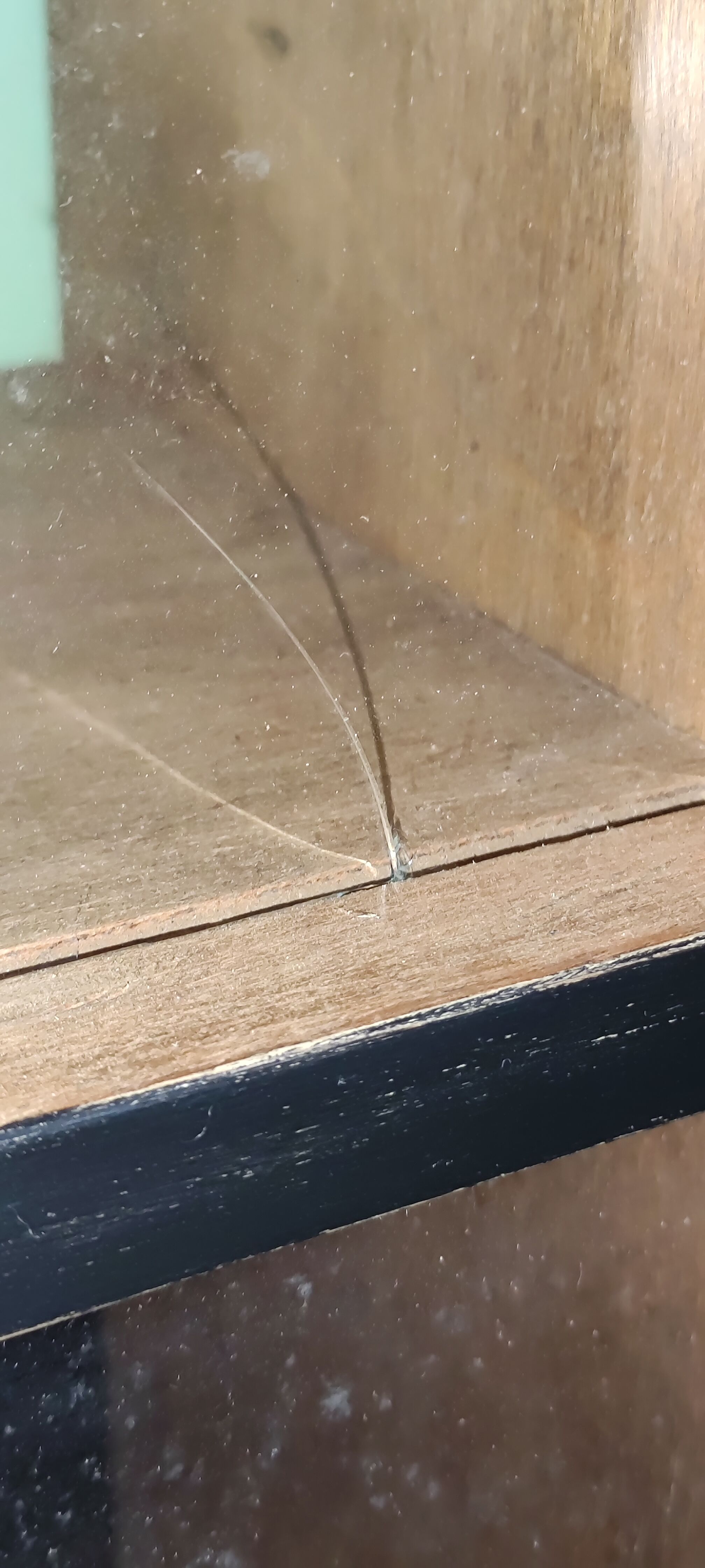 Multicolored library