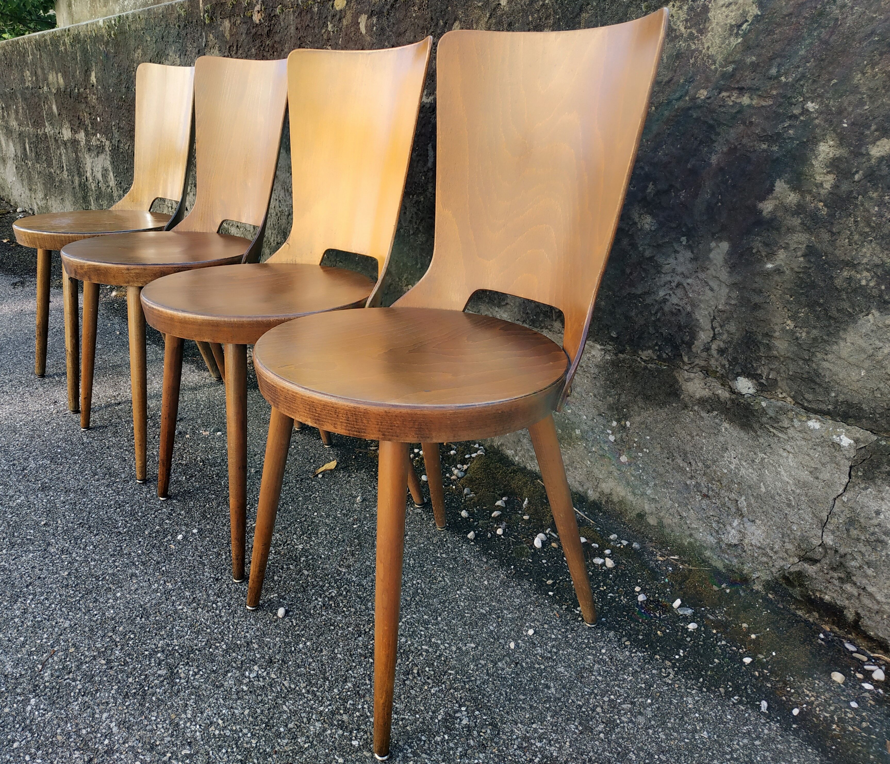 Suite of 4 vintage chairs Baumann model "Dove" 50s