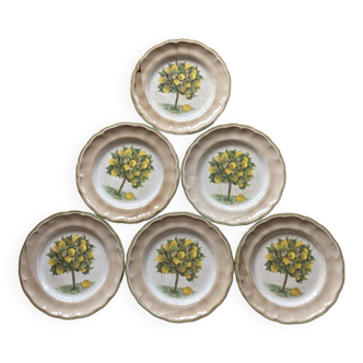 Assiettes à dessert motif citronnier - céramique italienne