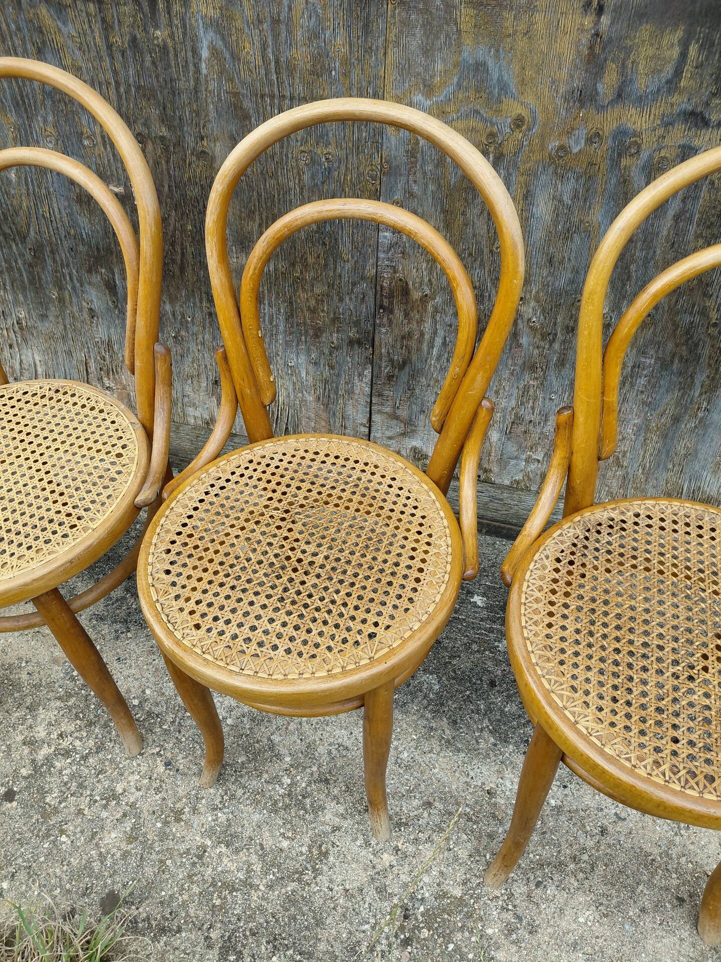 chaises Thonet à l'unité