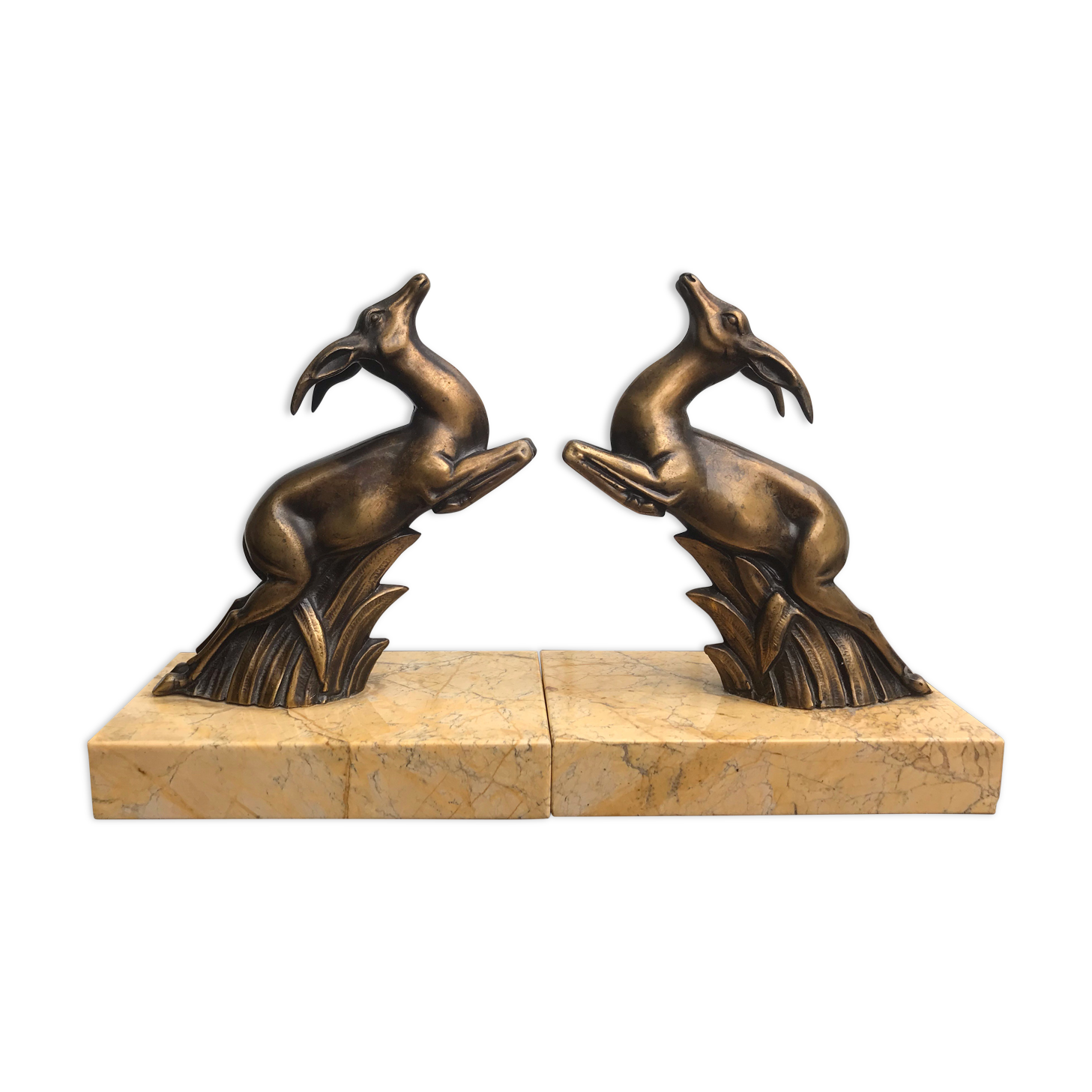 Greenhouse books antelopes