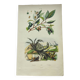 Old engraving from 1838 -Crab and tea- Zoological and botanical hand-colored plate. Original