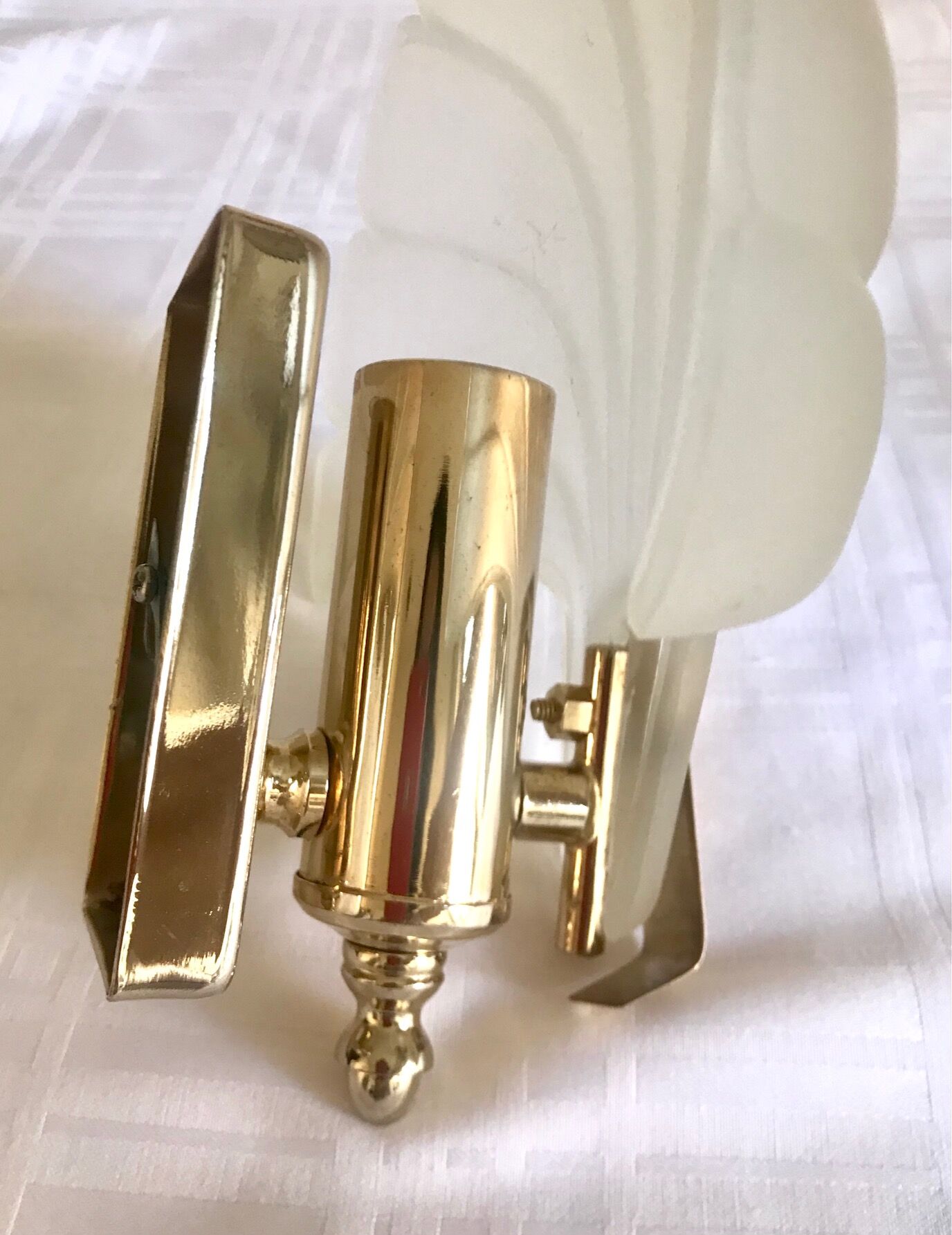 Pair of shell sconces