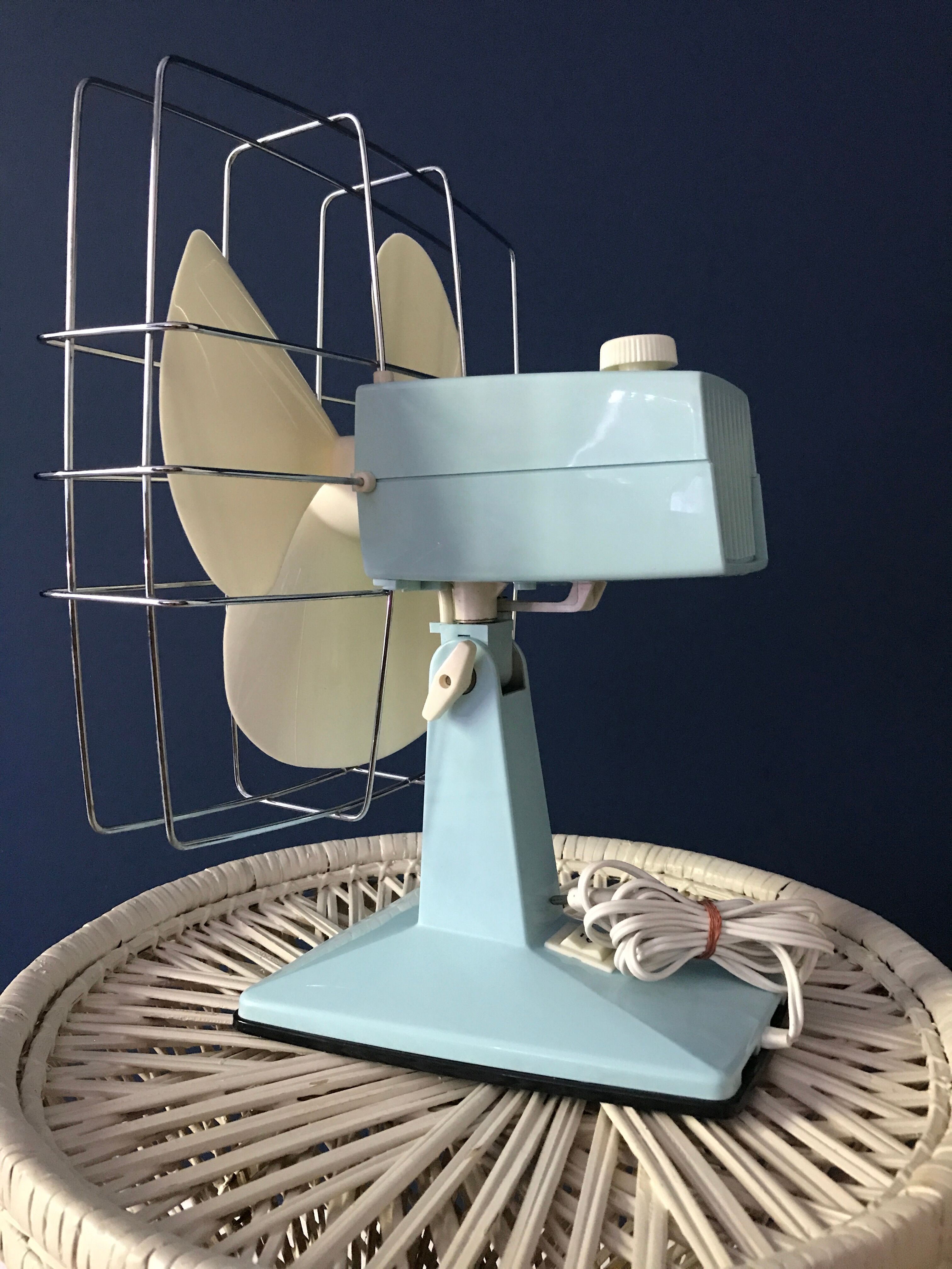 Vintage calor tilting fan mint