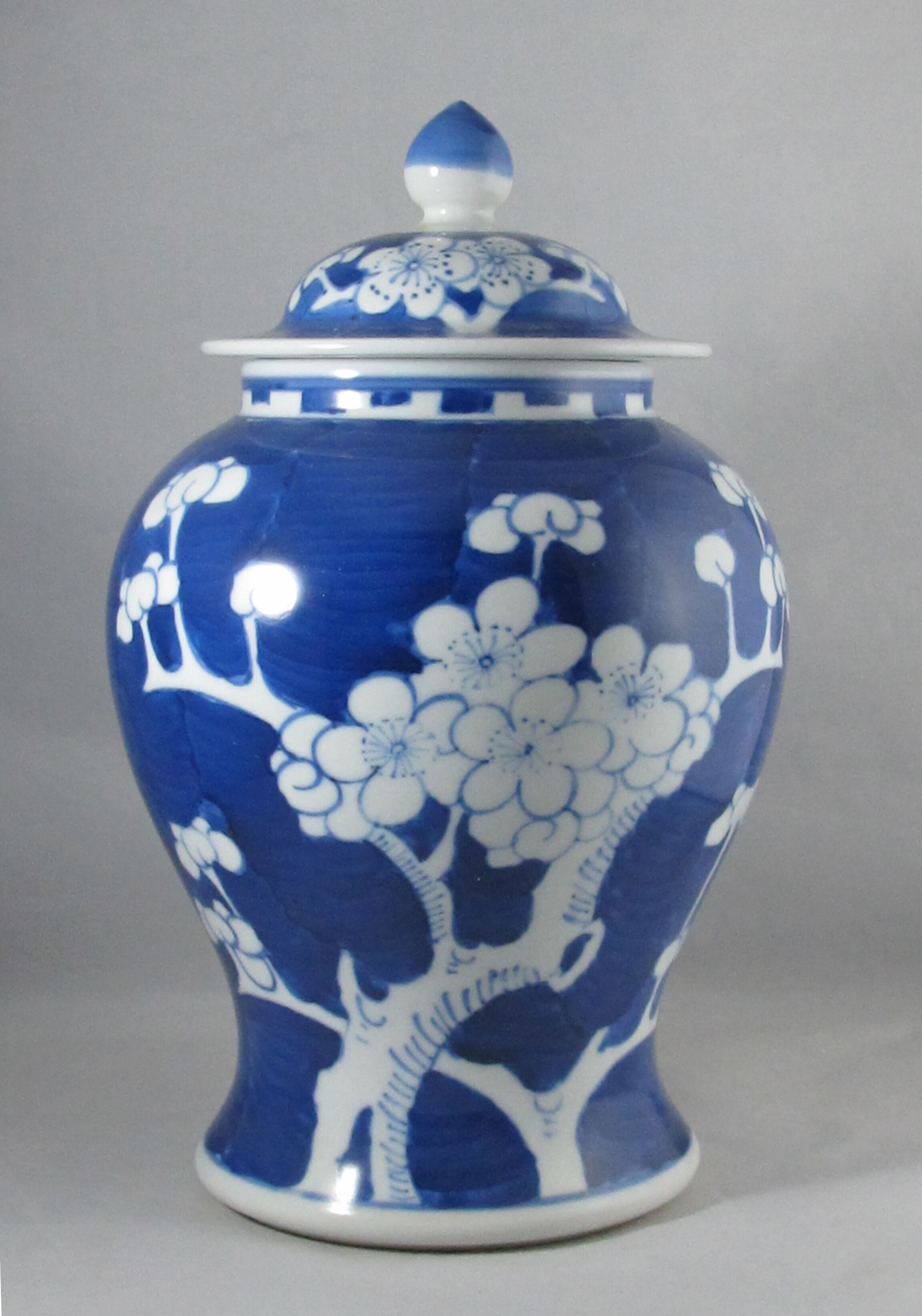Chinese potiche blue white China
