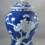 Chinese potiche blue white China