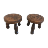 2 small plant carriers