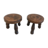 2 small plant carriers