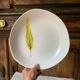 Plat semi creux de forme libre décoré d'une plume, Niderviller 1960