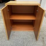 Hinged door cabinet