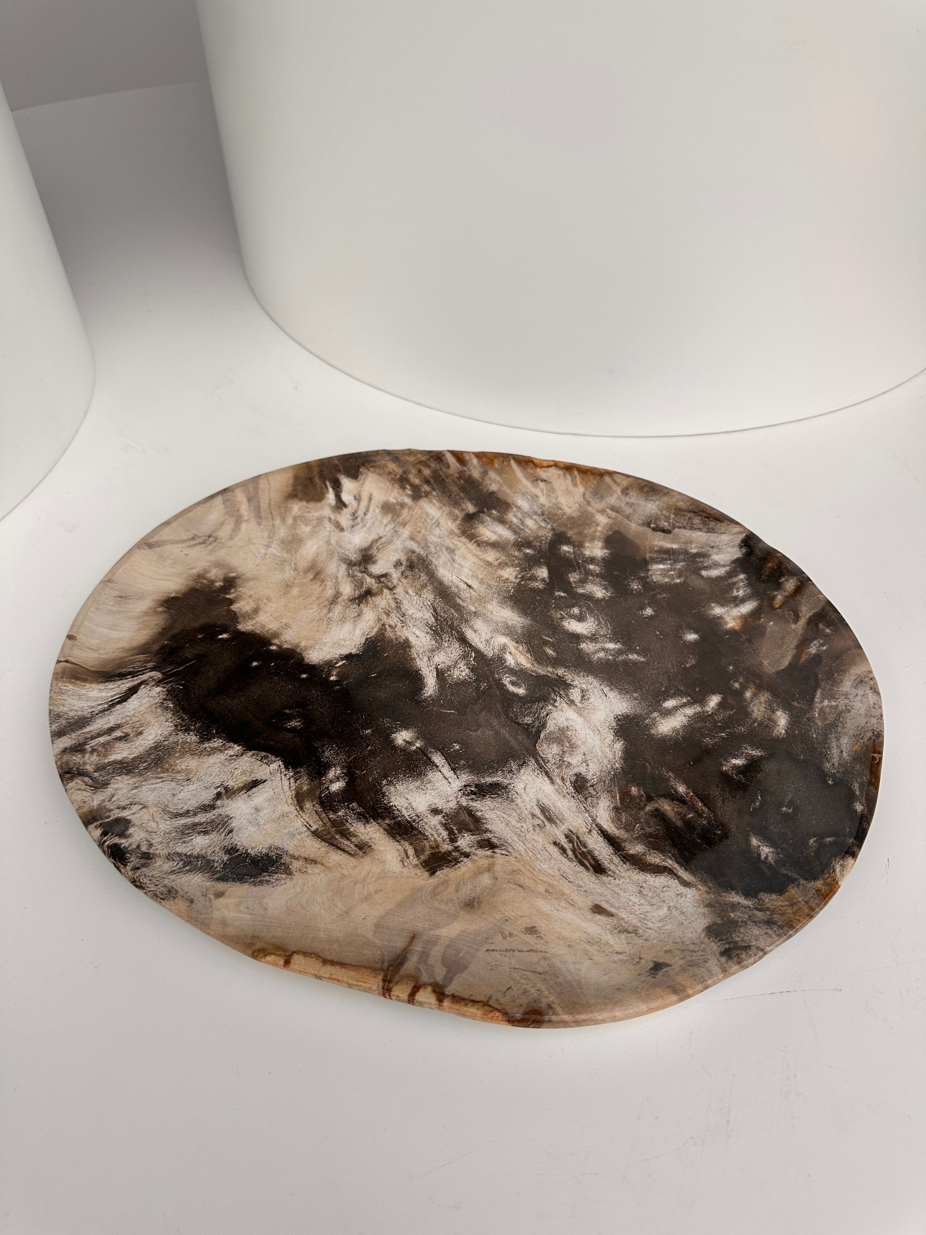 Very large empty pocket or petrified wooden flat