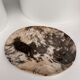 Very large empty pocket or petrified wooden flat