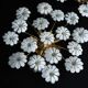 Paire de lampes de plafond en verre de Murano à fleurs blanches. Italie, années 1980.
