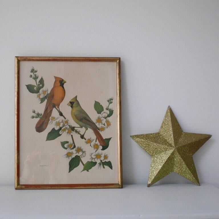 Freund bird frame