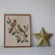 Cadre oiseaux Freund