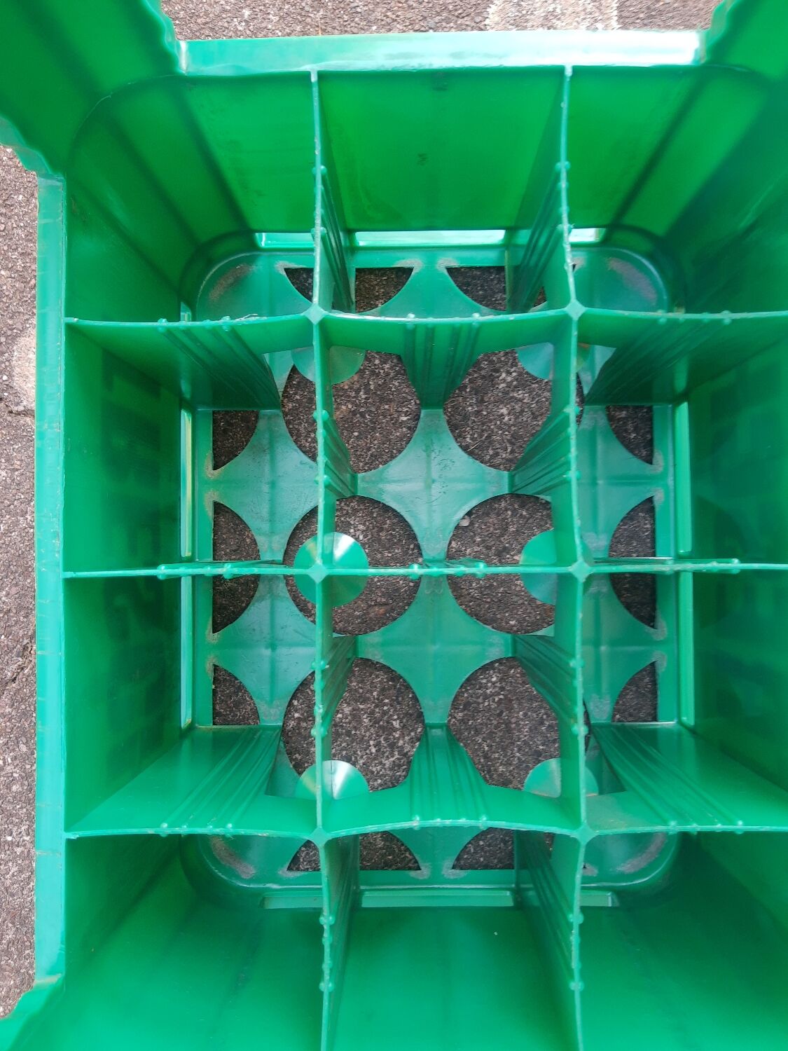 Vintage Tresch green plastic bottle box