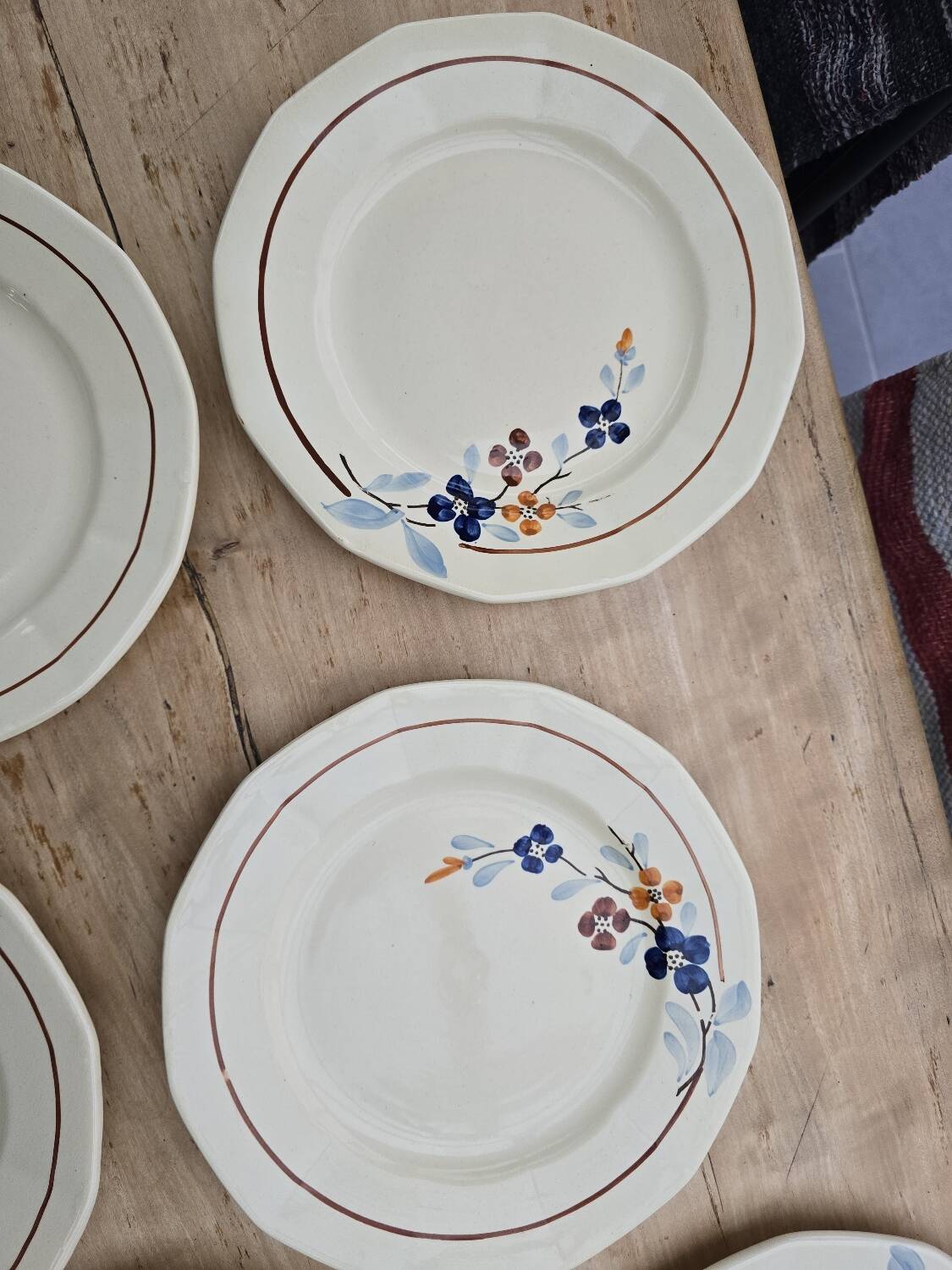 9 Sarreguemines plates model 5041