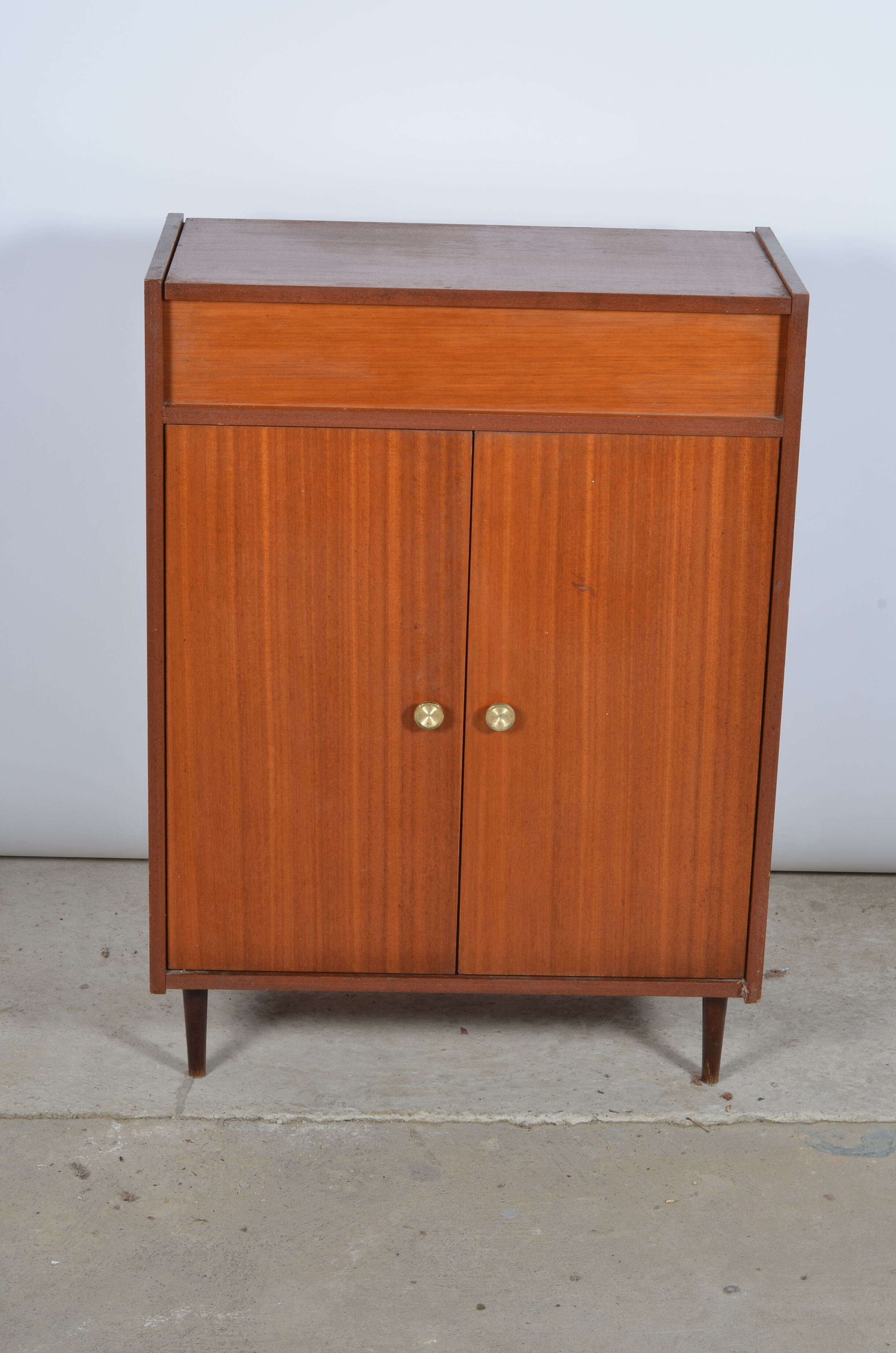 Shoe cabinet 2 doors and a chest