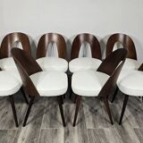 Dining Chairs by Antonin Suman, 1960s, Set of 8