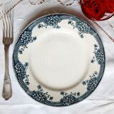 Old flat plates mismatched in iron earth accompanied by a serving dish
