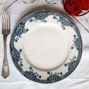 Old flat plates mismatched in iron earth accompanied by a serving dish