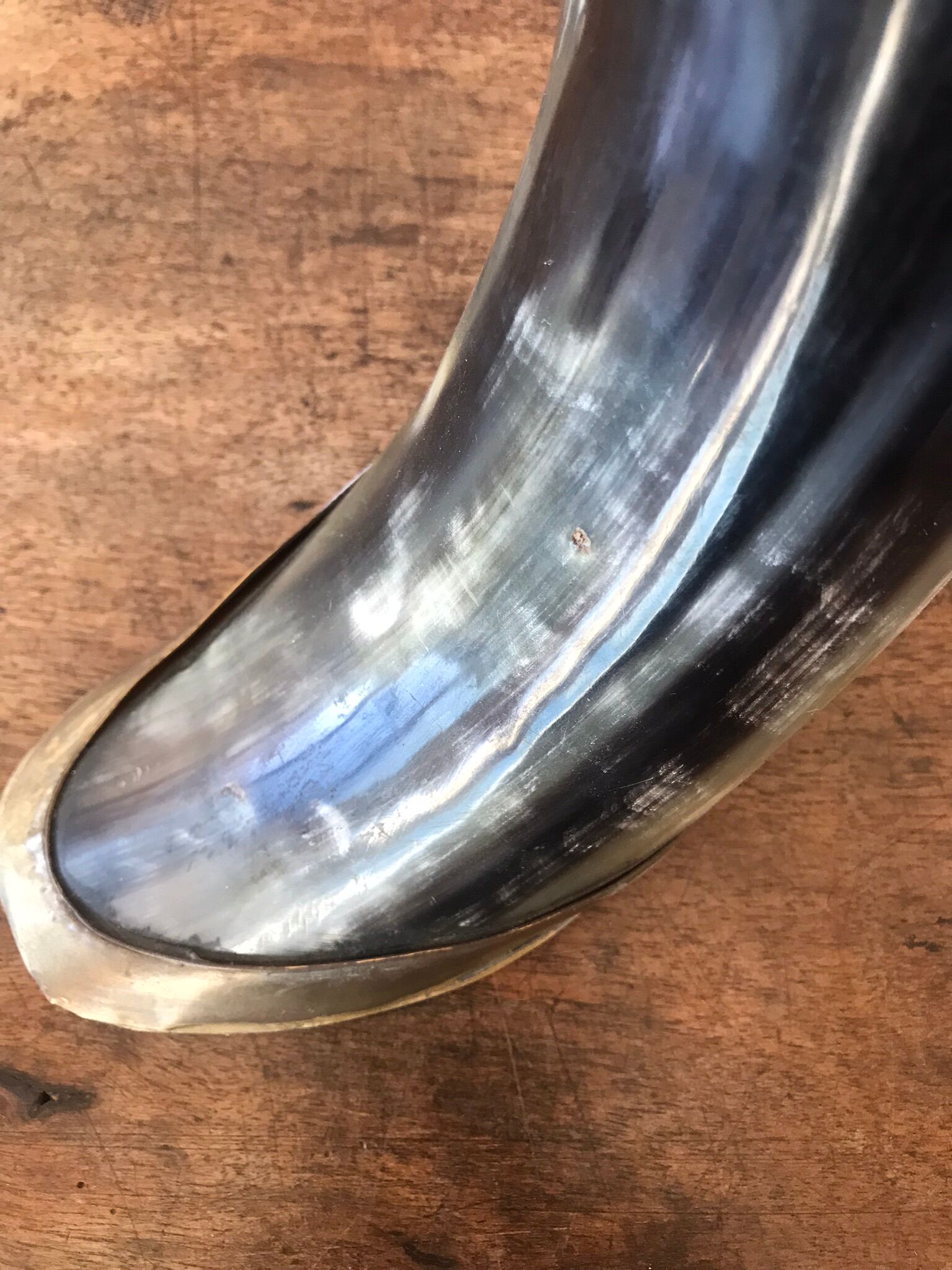 Polished beef horn on brass base