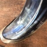 Polished beef horn on brass base