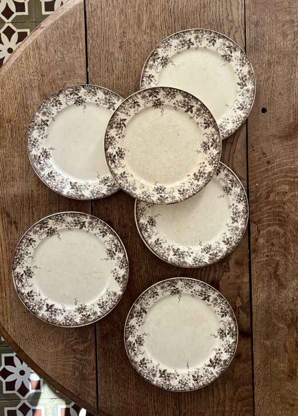 Lot de 6 assiettes plates anciennes en terre de fer modèle Alphand