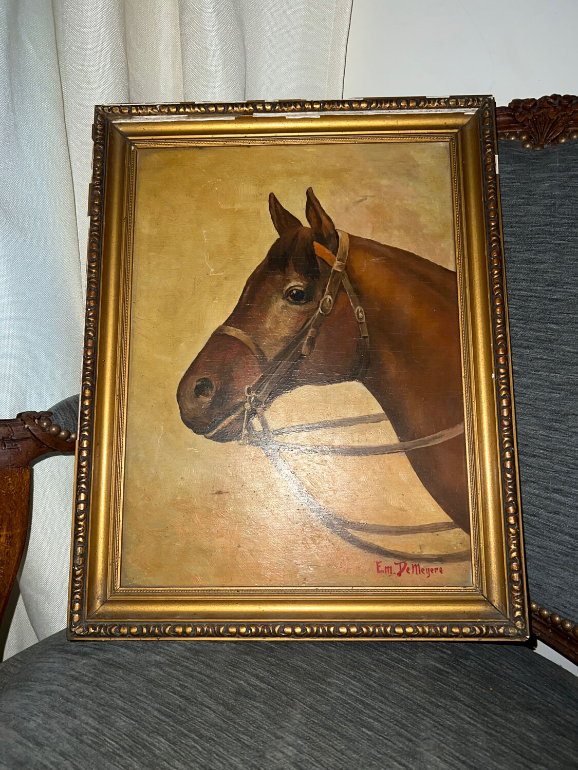 Portrait of a horse