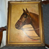 Portrait of a horse