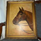 Portrait of a horse