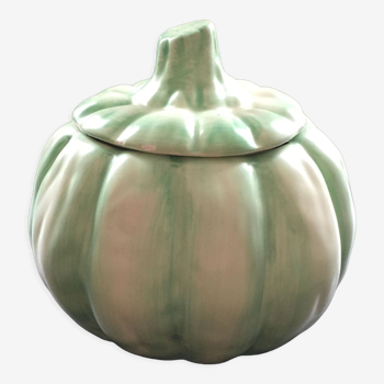 Green pumpkin pot